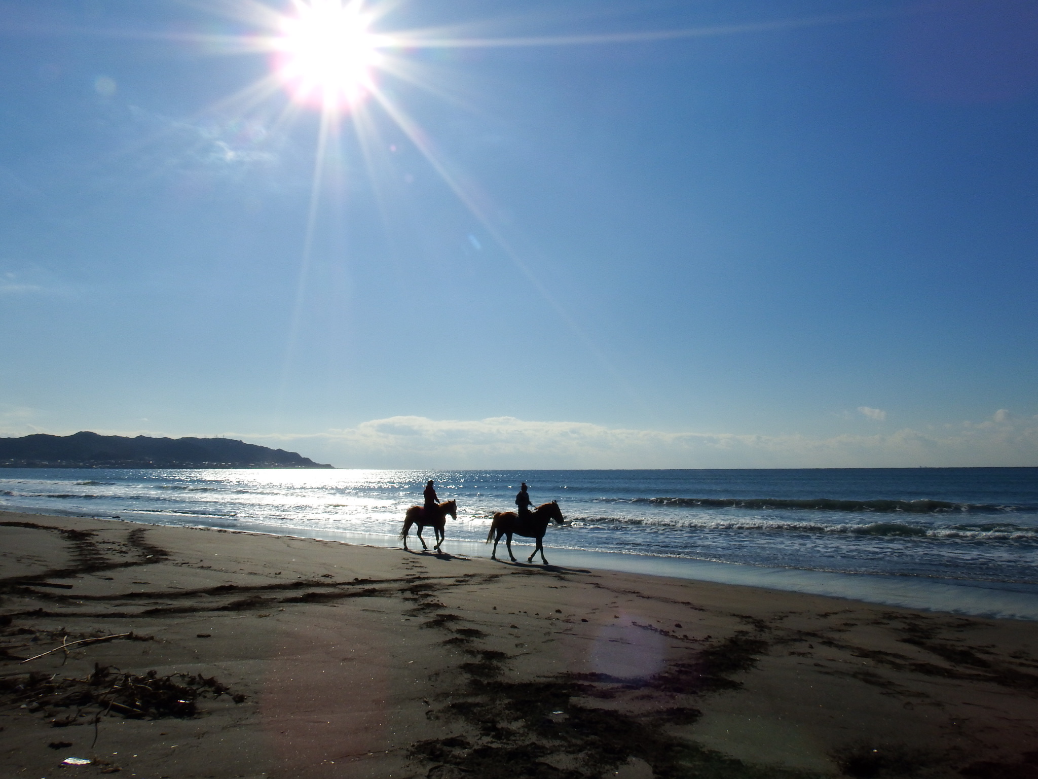 ホーストレッキングパーク館山