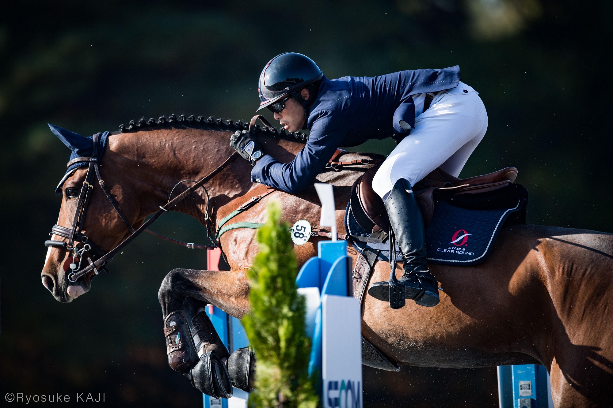 乗馬クラブ　ステーブル　クリアラウンド