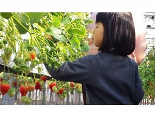 カズサの郷　愛彩畑