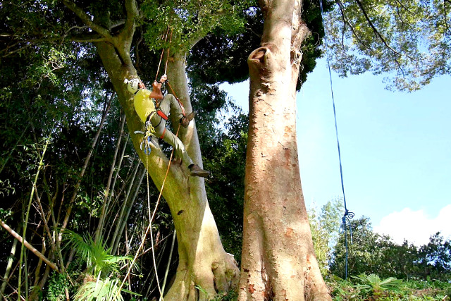 里山カフェ&ゲストハウスsou