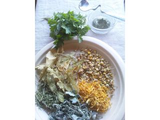 ヴィーナース　メディカルハーブラボ　九十九里校