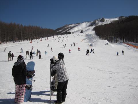 しらかば2in1スキー場