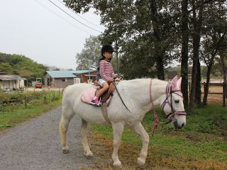 乗馬クラブ　アドバンス・ホースパーティ