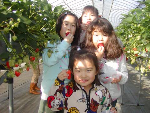 はびろ農業公園 みはらしファーム