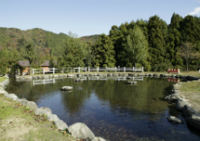 グリーン・ウッド関ヶ原オートキャンプ