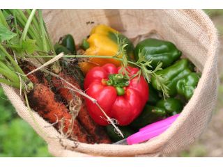 わっぱファーム