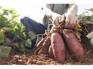 あさひ農村振興協議会