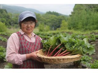 かぼちゃん農園
