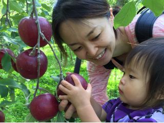 マルロク返町遊覧園