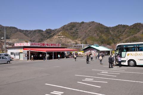 江間いちご狩りセンター