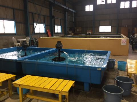 屋内釣堀フィッシュファクトリー