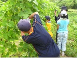 ふるば村自然農園
