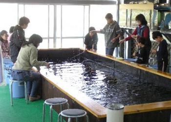 京阪錦鯉センター ファミリーフィッシング