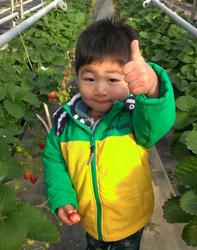 サクラファームの写真1