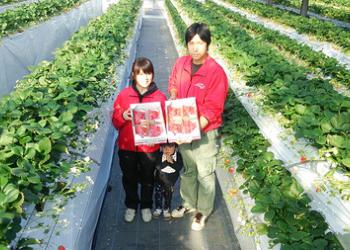 いちご園ラフレーズ