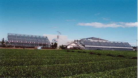 グリンピア牧之原