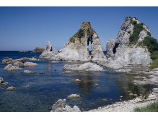 一般社団法人佐渡観光交流機構