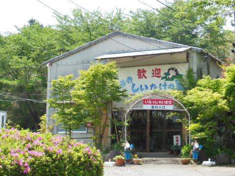 修善寺しいたけの里