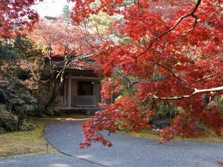 公益財団法人　新潟観光コンベンション協会