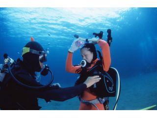 フリーウェイ(新潟店)