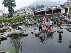 つりぼり つかみ取りの郷 杵塚養鱒