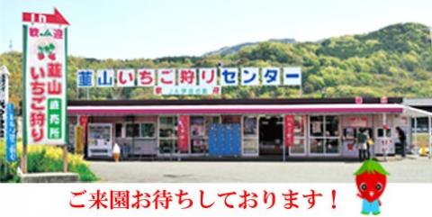 韮山いちご狩りセンター