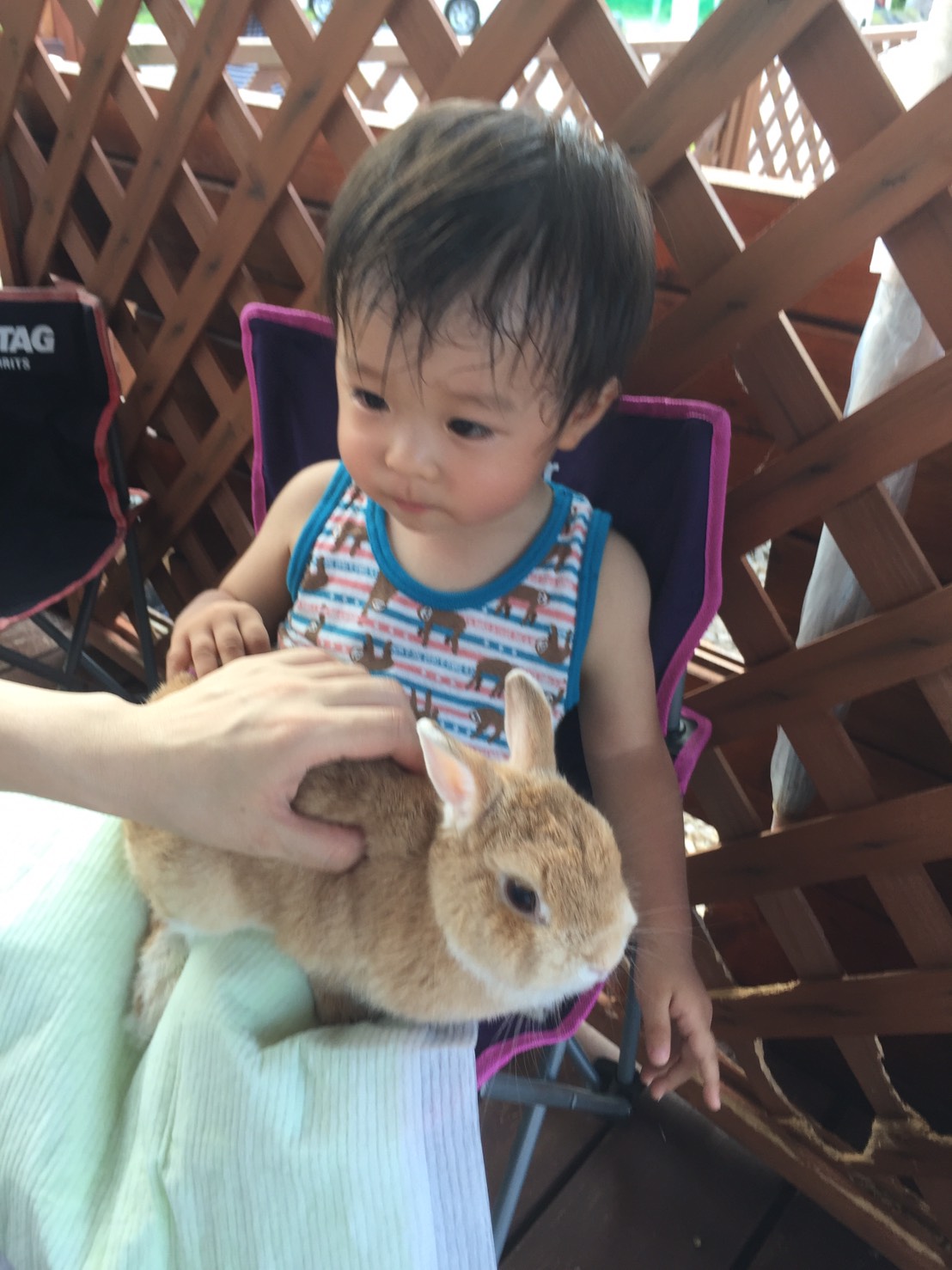 うさぎの楽園　バニファランドのとじま