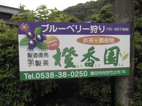 ブルーベリー農園 橙香園