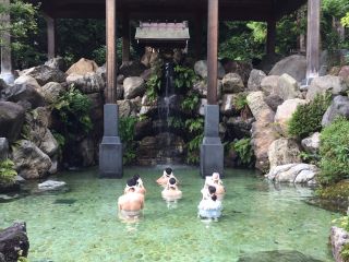 白山市観光連盟