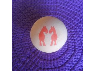 ストローク乗馬クラブはなむけ