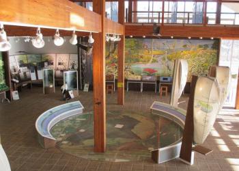 ウトナイ湖野生鳥獣保護センター