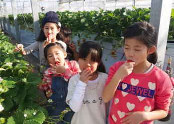 越谷いちごタウン