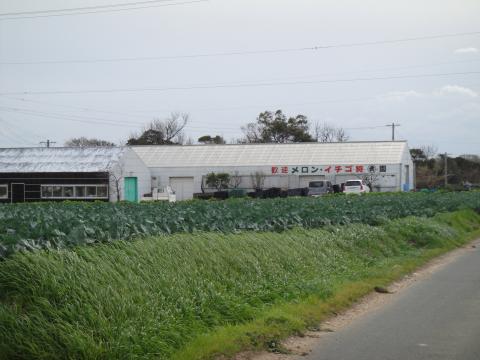 渥美観光マルタケ園