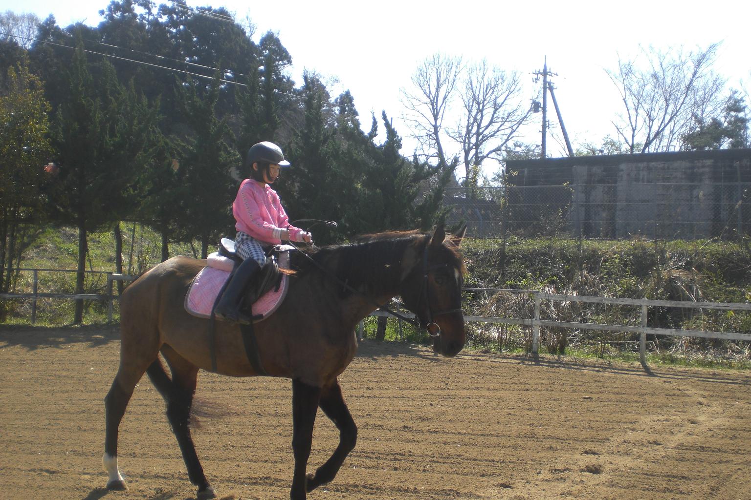 乗馬クラブパ・ドゥドゥ