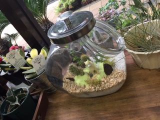 フラワーショップしまだ