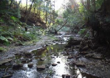 陣ヶ下渓谷公園