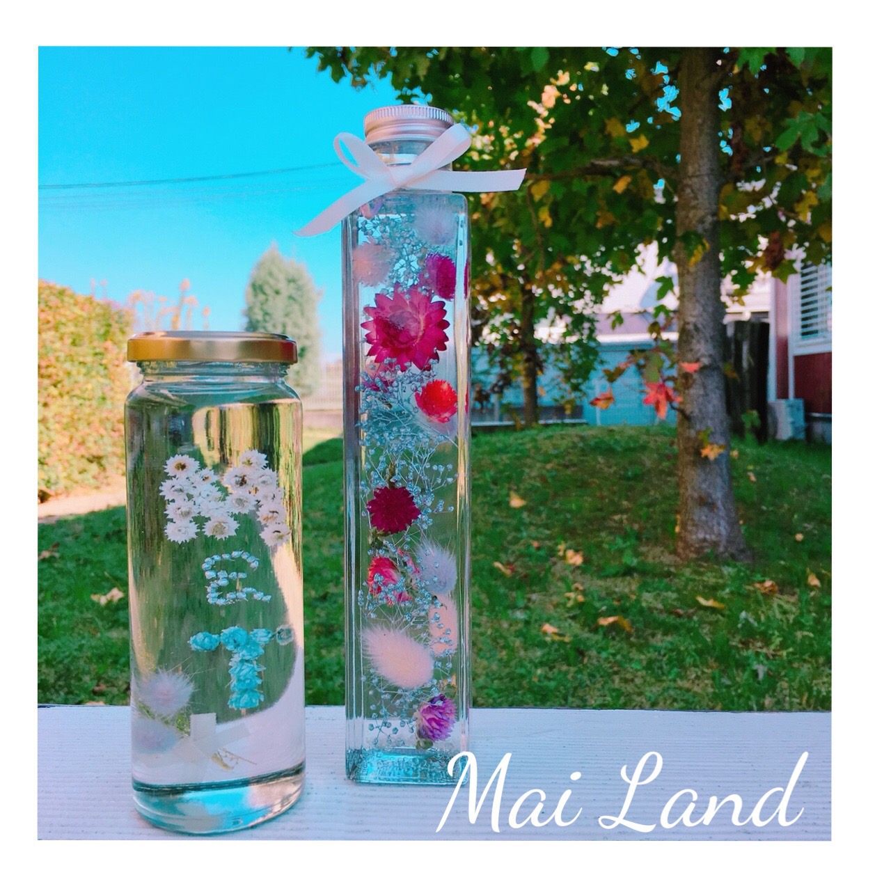 Mai　Land