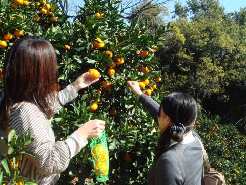 蒲郡オレンジパーク