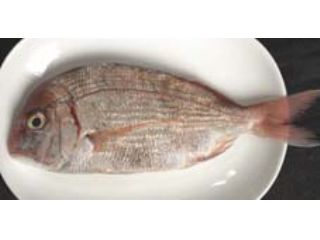 クッキングスタジオ　サンテ