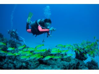 ダイビングショップかじきあん