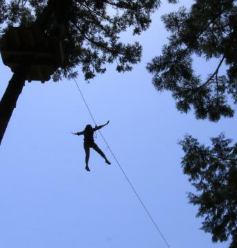 フォレストアドベンチャー・新城