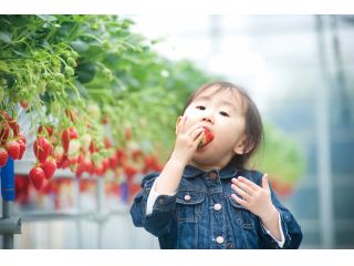 平松観光アグリス浜名湖