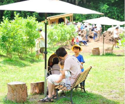 まいにちブルーベリー