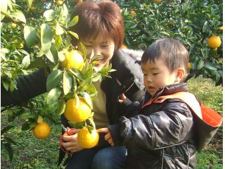 収穫体験農園　ふたつぼり