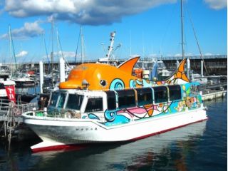 はるひら丸遊覧船イルカ号