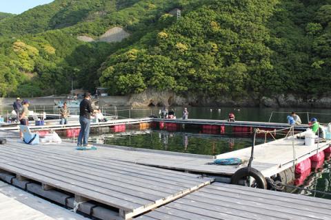 錦フィッシングパーク