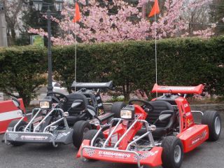 IZUレンタルカート