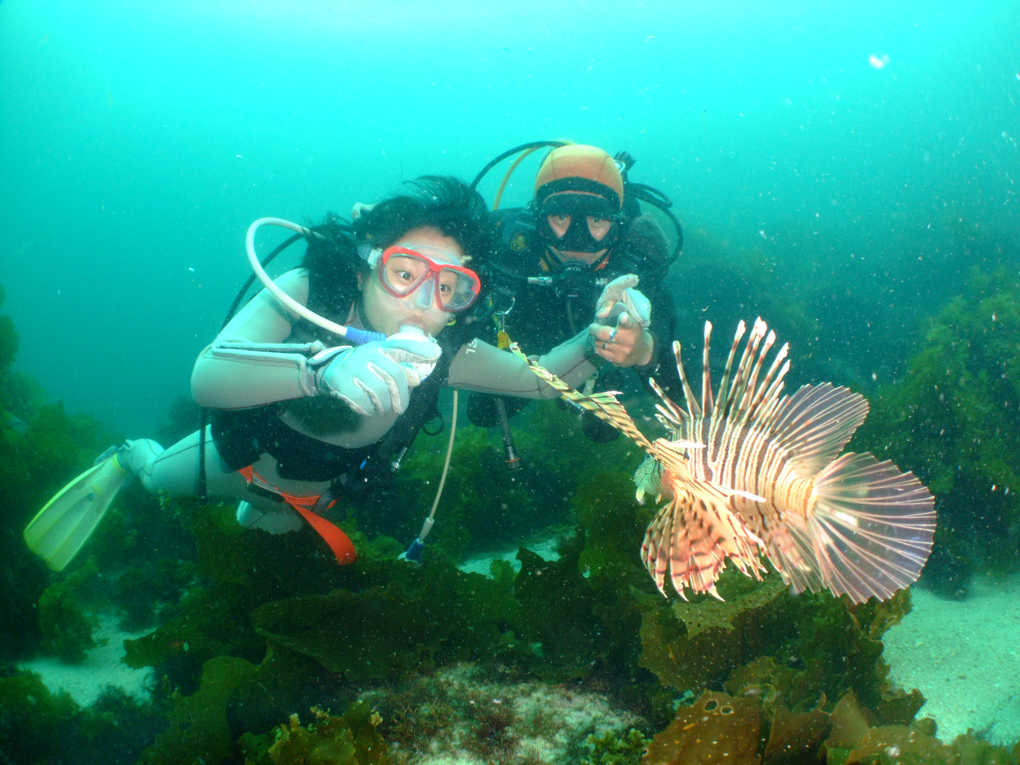 シーフロント初島