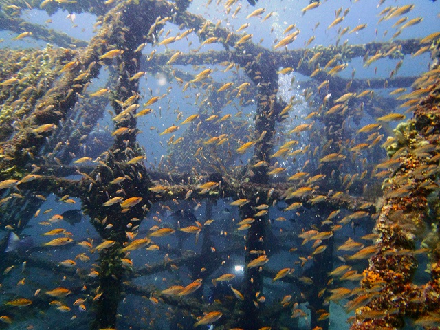 ケイズリパブリック熱海