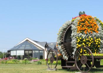 道の駅　花ロードえにわ